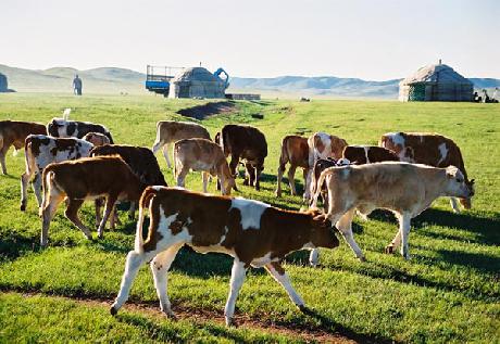 锦湖合成胶生产将不受重组影响